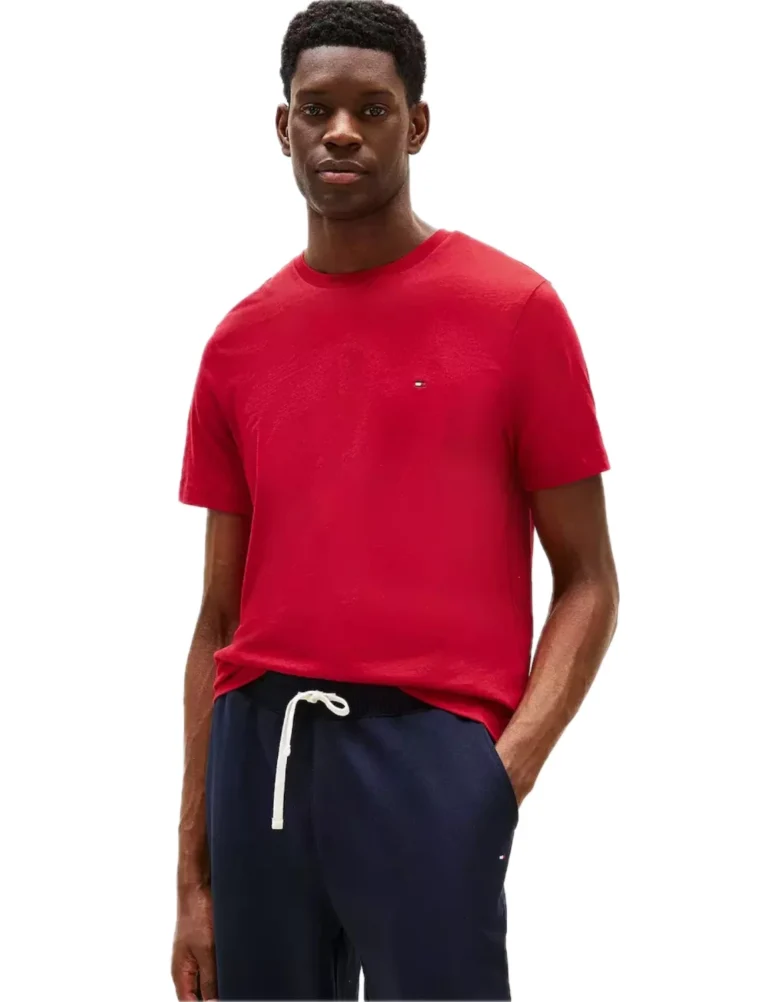 tommy hilfiger essential crew neck Ανδρικό t shirt mw0mw39995 c1o (Αντιγραφή)