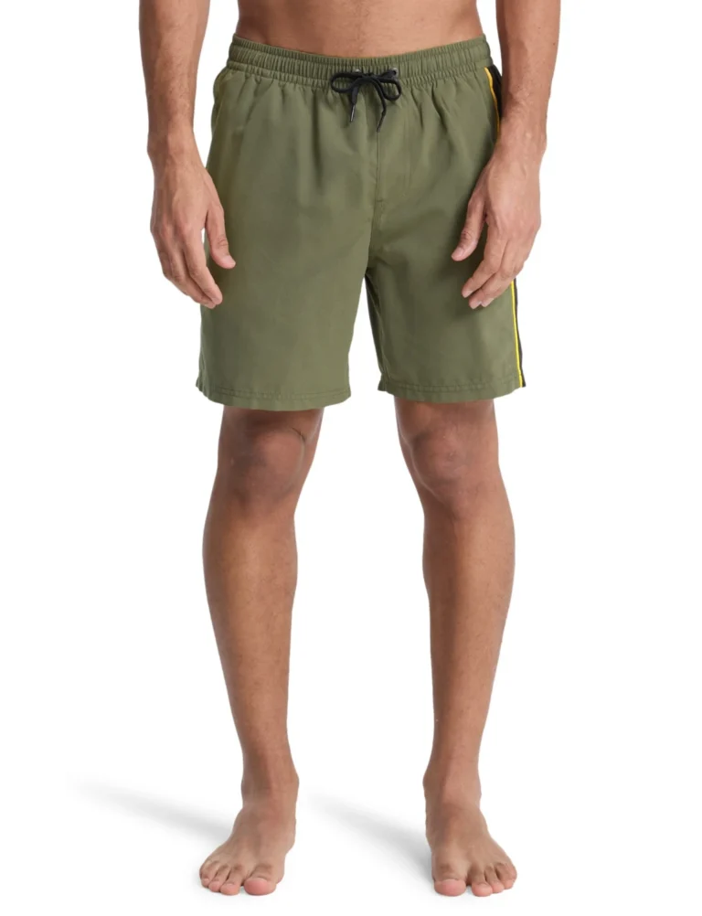 quiksilver everyday printed 15 Ανδρικό Μαγιό eqyjv04219 grt6 (Αντιγραφή)