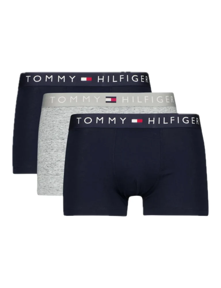 tommy hilfiger signature logo briefs Ανδρικά Σλιπ 3pack um0um03875 0sc (Αντιγραφή)